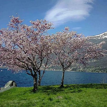 Appartamento Trilocale